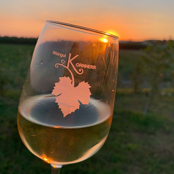 Rosé vom Weingut in Untermarkersdorf, Bezirk Hollabrunn