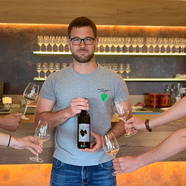 Rotweine aus Hollabrunn | Im Weinladen oder Onlineshop